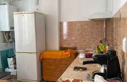 Apartament cu 1 cameră, zona străzii Bocskai Istvan, 42 mp