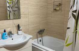 Apartament cu 1 cameră, zona străzii Bocskai Istvan, 42 mp