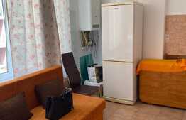 Apartament cu 1 cameră, zona străzii Bocskai Istvan, 42 mp
