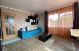 Apartament de 2 camere, decomandat, 50 mp, parcare, zona strazi Nichita Stanescu