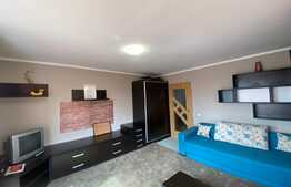 Apartament de 2 camere, decomandat, 50 mp, parcare, zona strazi Nichita Stanescu