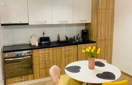 Investitie!! Studio exceptional, mobilat si utilat, 37 mp, terasa 28 mp, Drumul Poiana Brasov