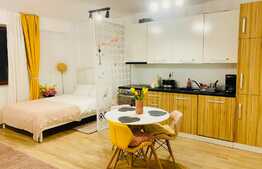 Investitie!! Studio exceptional, mobilat si utilat, 37 mp, terasa 28 mp, Drumul Poiana Brasov