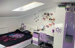 3 camere pe 2 niveluri, mobilat si utilat lux, 100 mp, zona Judetean