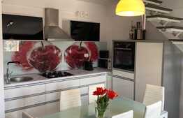 3 camere pe 2 niveluri, mobilat si utilat lux, 100 mp, zona Judetean