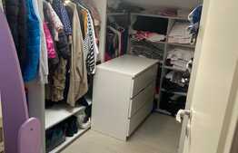 3 camere pe 2 niveluri, mobilat si utilat lux, 100 mp, zona Judetean