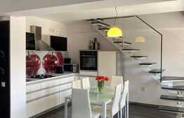 3 camere pe 2 niveluri, mobilat si utilat lux, 100 mp, zona Judetean