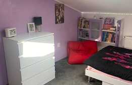 3 camere pe 2 niveluri, mobilat si utilat lux, 100 mp, zona Judetean