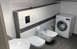 3 camere pe 2 niveluri, mobilat si utilat lux, 100 mp, zona Judetean