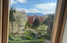 3 camere pe 2 niveluri, mobilat si utilat lux, 100 mp, zona Judetean