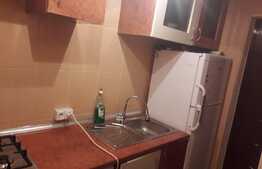 Camera de camin, 22 mp, zona Astra