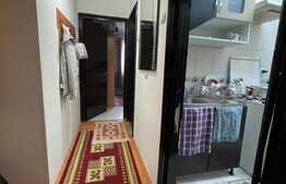 Apartament de 3 camere, 48 mp, Predeal