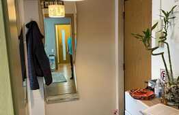 Apartament de 2 camere, semidecomandat, zona Gemenii 