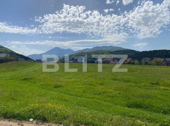Teren de vânzare Exterior Est - 65534TV | BLITZ Brașov | Poza3
