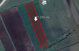 Teren de 17250 mp, Stupini