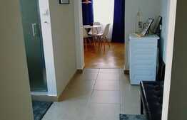 Apartament 2 camere, zona Afi Mall, pet frendly