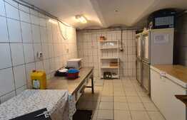 Spatiu comercial, 250 mp, zona Centrul Istoric