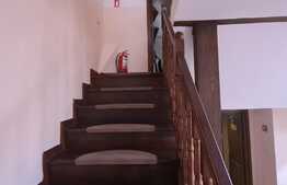 Spatiu comercial, 250 mp, zona Centrul Istoric