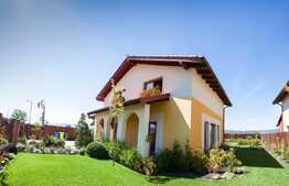 Casa deosebita 4 camere, 119 mp utili, 500 mp teren, Cristian