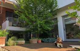 Vila exclusivista cu panorama, finisata modern, 330 mp utili, 500 mp teren