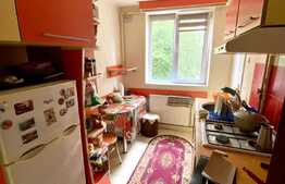 Apartament 1 camera, 30 mp, zona Piata Garii