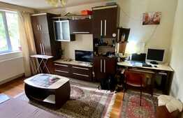 Apartament 1 camera, 30 mp, zona Piata Garii