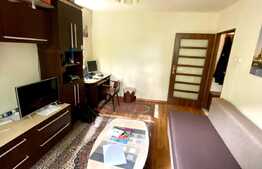 Apartament 1 camera, 30 mp, zona Piata Garii