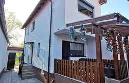 Casa deosebita in Cristian