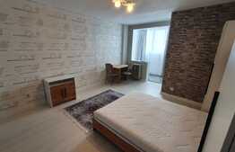 Apartament 1 camera, 30mp, zona strazii Grigore Alexandrescu