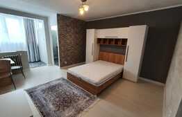 Apartament 1 camera, 30mp, zona strazii Grigore Alexandrescu