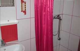 Garsoniera, 28 mp, imobil nou, mobilat! Zona strazii Beiusului!