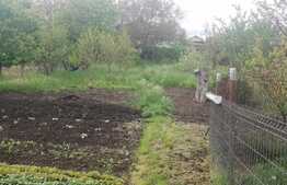 De vanzare casa, singur in curte, 1000 mp teren, 120 utili, Zona Ciuperca