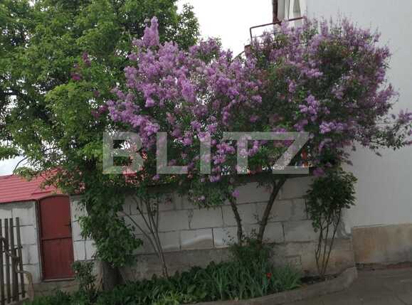 Casa de vânzare 4 camere Dambul Rotund - 65675CV | BLITZ Cluj-Napoca | Poza2