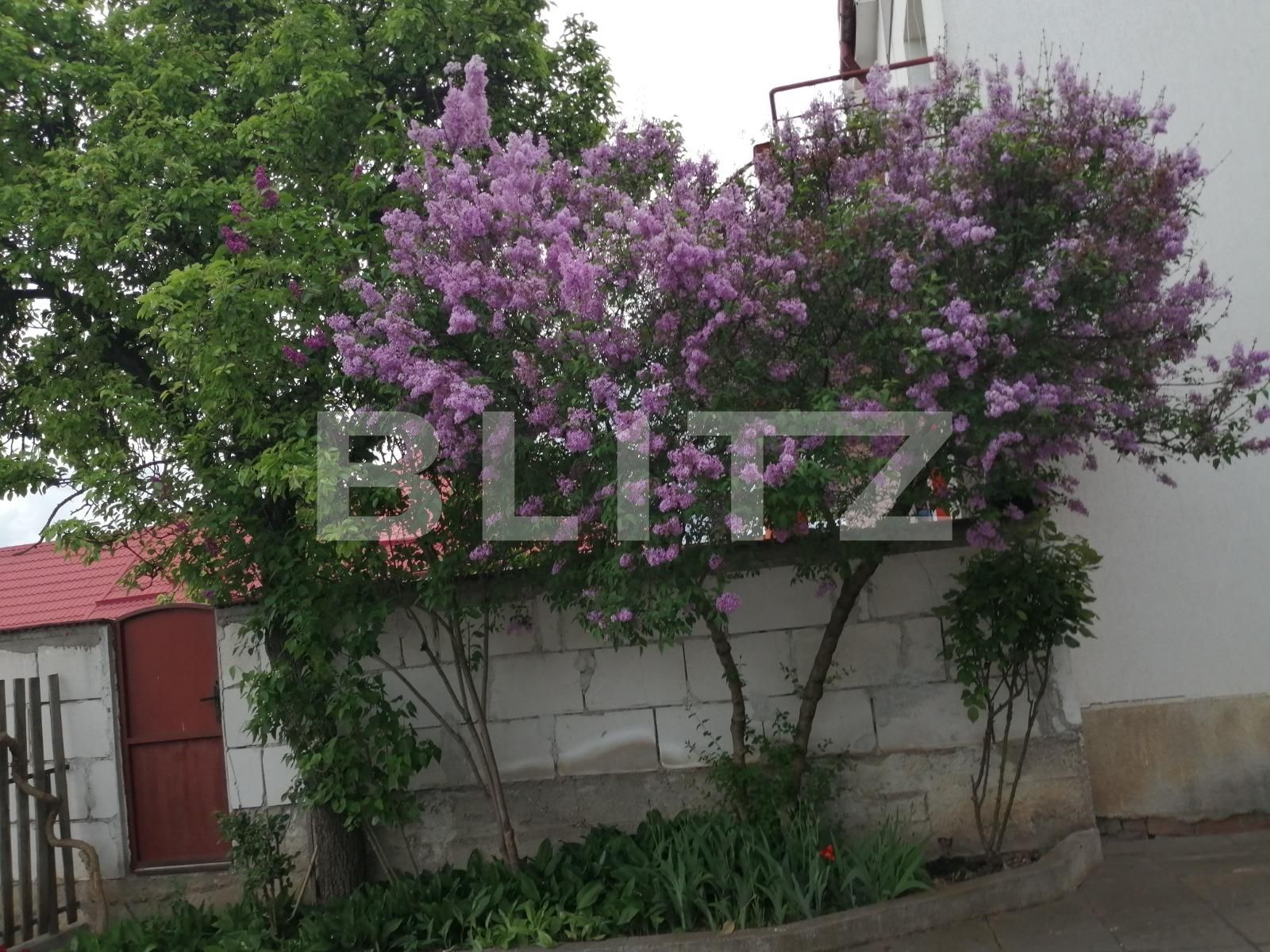 Casa de vânzare 4 camere Dambul Rotund - 65675CV | BLITZ Cluj-Napoca | Poza2