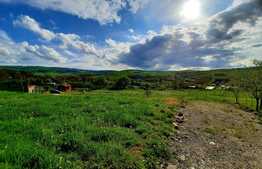 Teren intravilan 1000 mp, cu PUZ aprobat in 2021