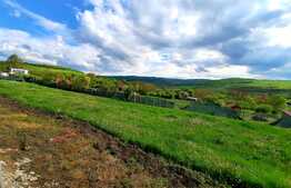 Teren intravilan 1000 mp, cu PUZ aprobat in 2021