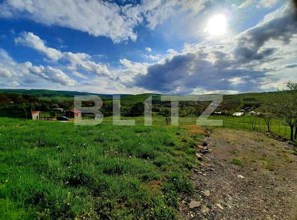 Teren de vânzare Sopor - 65688TV | BLITZ Cluj-Napoca | Poza3