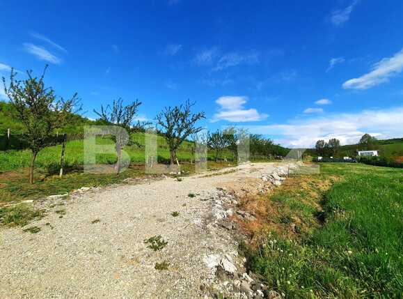 Teren de vânzare Sopor - 65688TV | BLITZ Cluj-Napoca | Poza4