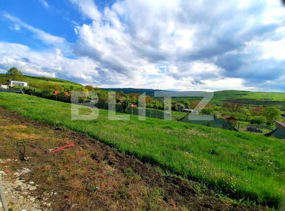 Teren de vânzare Sopor - 65688TV | BLITZ Cluj-Napoca | Poza1