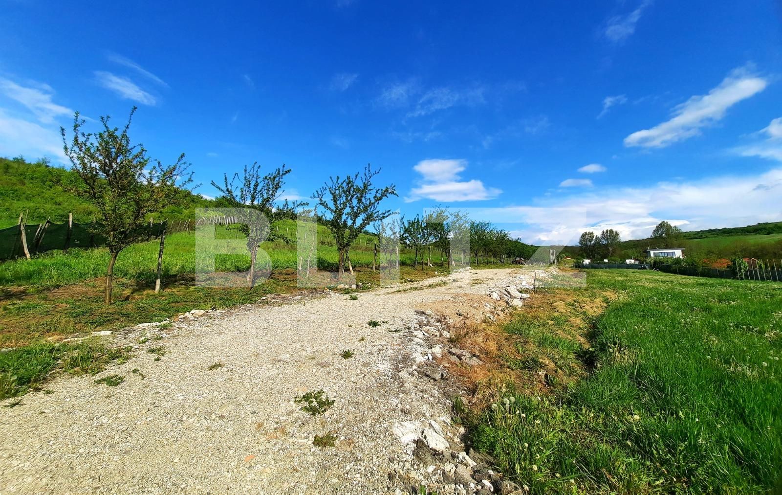 Teren de vânzare Sopor - 65688TV | BLITZ Cluj-Napoca | Poza4