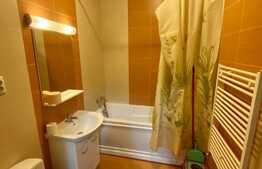 Apartament 1 camera, 41 mp, AC, zona Piata Mihai Viteazu