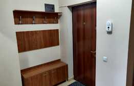 Apartament 1 camera, 41 mp, AC, zona Piata Mihai Viteazu