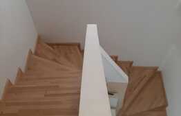 Casa 4 camere, magazie 12 mp, 2 terase, 240 mp teren, zona Tauti