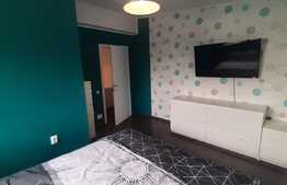 Casa 4 camere, magazie 12 mp, 2 terase, 240 mp teren, zona Tauti