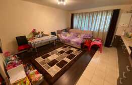 2 camere, 54 mp utili, terasa 45 mp, mobilat si utilat, parcare, zona VIVO