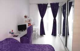 Apartament 2 camere, gradina, zona strazii Cosasilor!