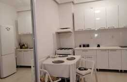 Apartament 2 camere, gradina, zona strazii Cosasilor!