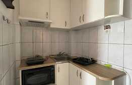 Garsoniera, 25 mp, pet friendly, zona strazii Cojocnei