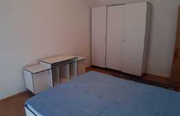 Apartament 2 camere, 58 mp, terasa 15 mp, zona Porii, parcare