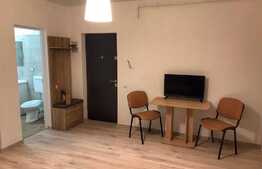 Apartament 2 camere, 40 mp, zona Teilor 
